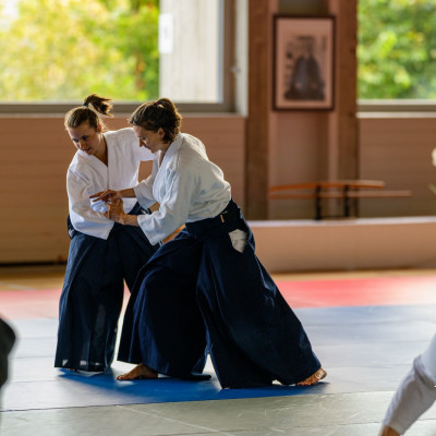 aikido