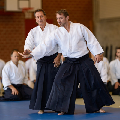 aikido