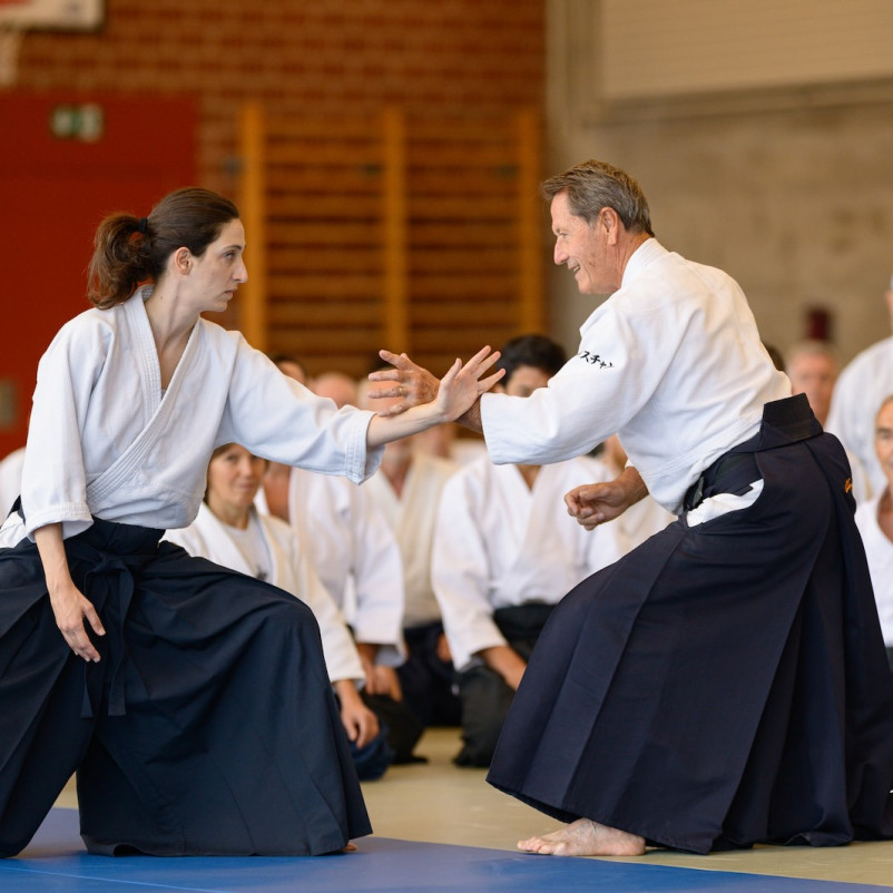 aikido