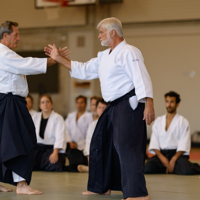 aikido