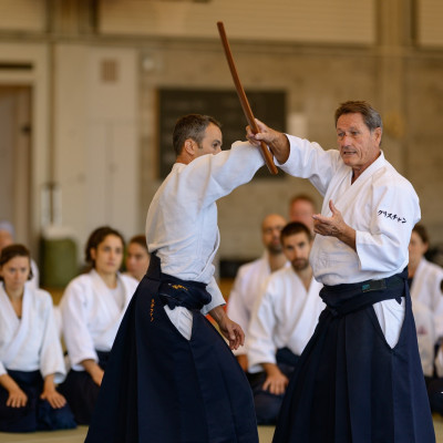 aikido