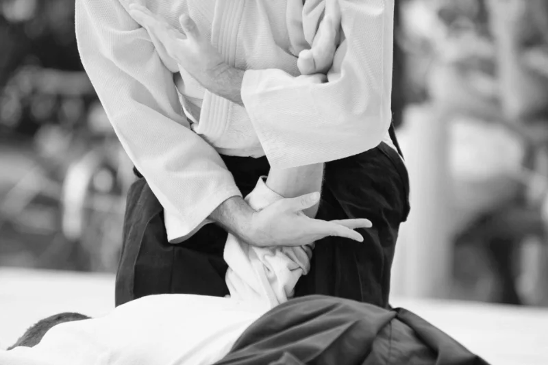 Friedvolle Kampfkunst